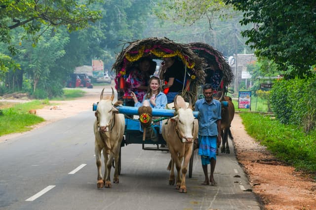 Bullock Cart Ride