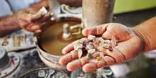 Rare gems of Ceylon