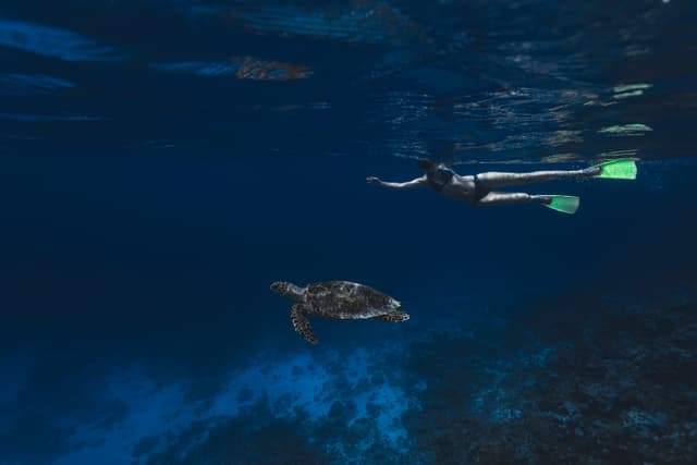 Snorkeling