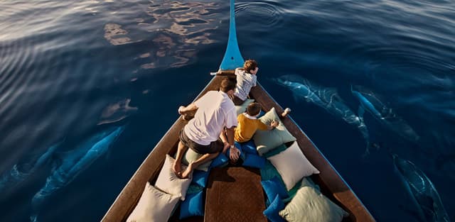 Dolphin Watch