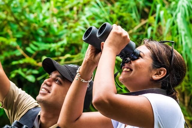 Wildlife Watching