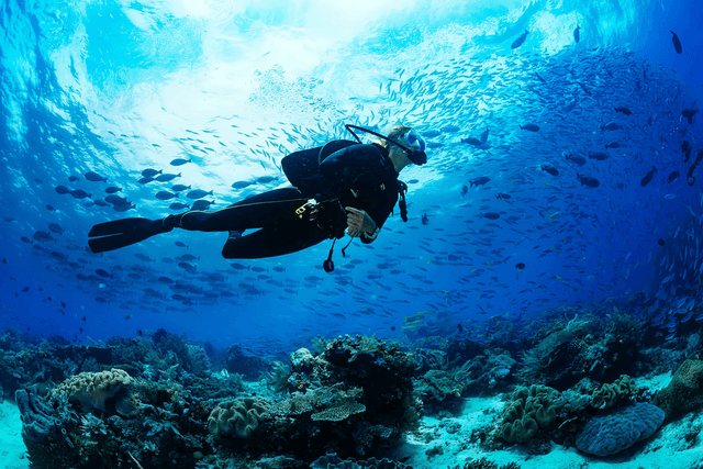 Underwater Dive