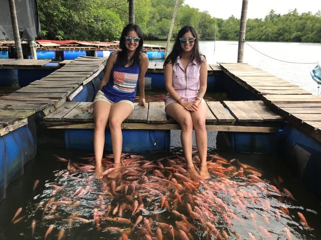 Relaxing Fish Therapy
