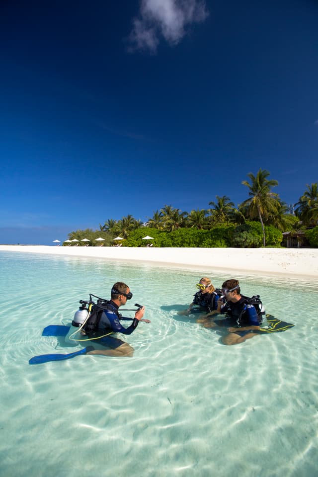 Diving