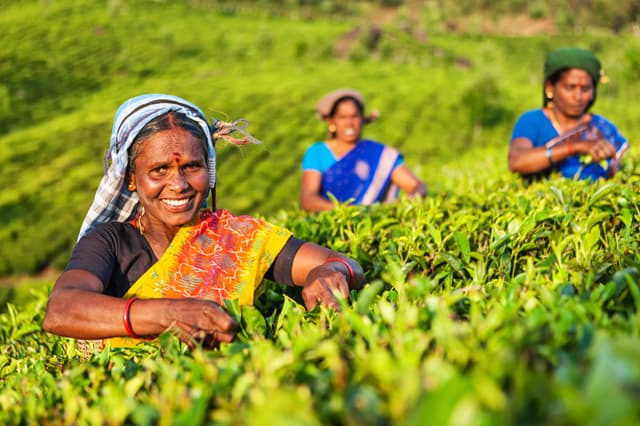 Smiles at Tea Estate