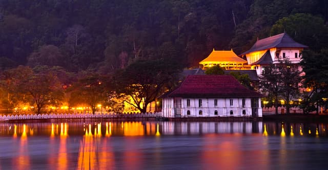 Temple Lights
