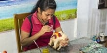 Traditional handicrafts