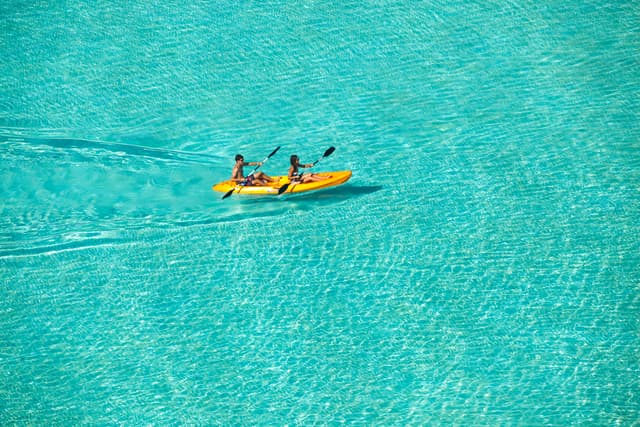 Kayak