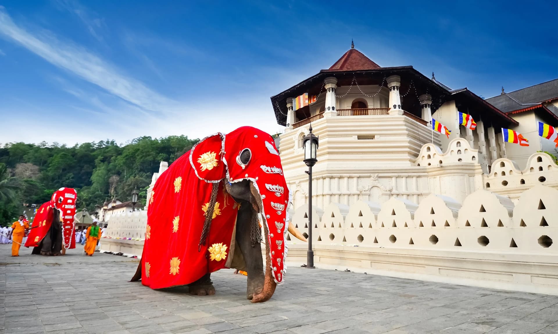 https://olanka-strapi-live-s3.s3.ap-southeast-1.amazonaws.com/magazine_cropped_shutterstock_196871639_4d809b1efe.jpg