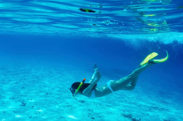 Snorkeling