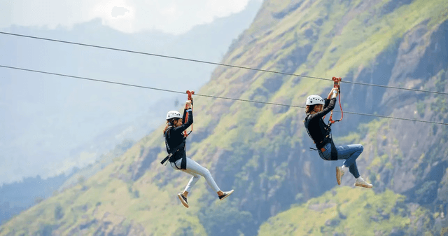 Ella Zip Adventure