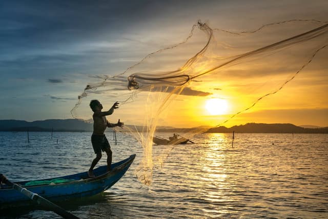 Sunrise Fishing