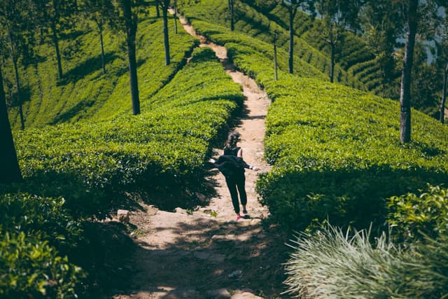Pekoe Trail Experience