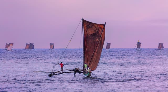 Sail Boats