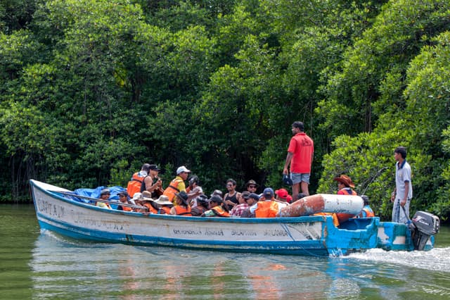Madu River Safari