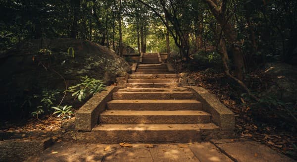 Ritigala Forest