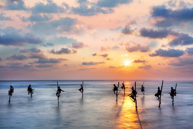 Stilt Fisherman