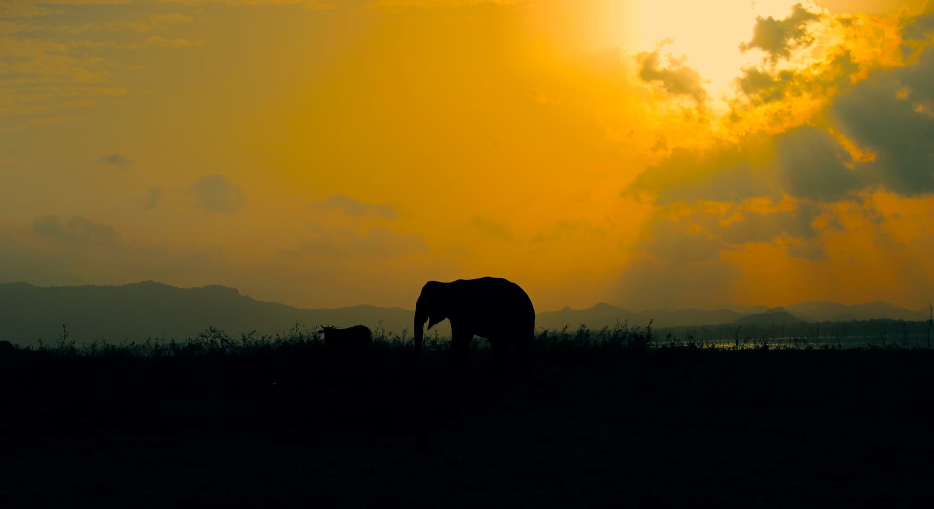 https://olanka-strapi-live-s3.s3.ap-southeast-1.amazonaws.com/shutterstock_1602547081_0f57ed8b6a.jpg