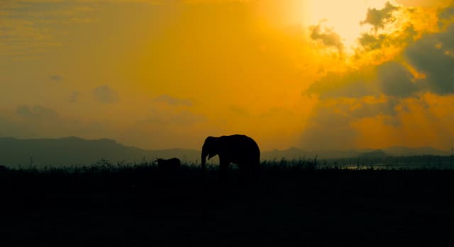 Beautiful Sunset