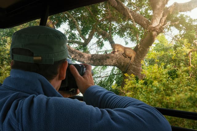 Safari at Yala