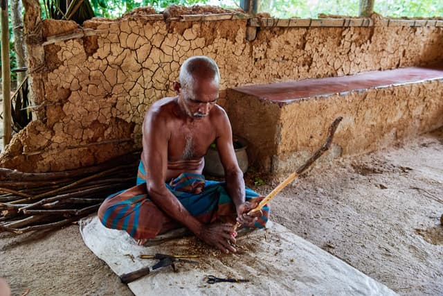 Cinnamon Making Process