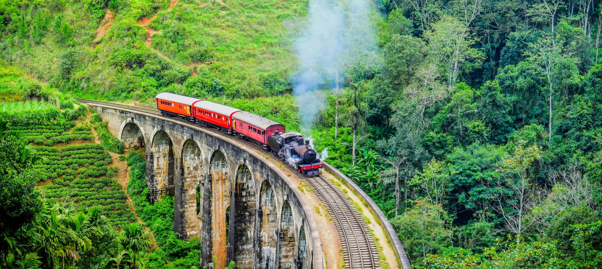 https://olanka-strapi-live-s3.s3.ap-southeast-1.amazonaws.com/shutterstock_2367583603_6472106a79.jpg