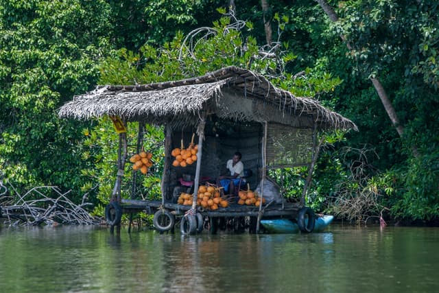 Madu River Safari
