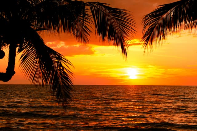 Scenic Sunset