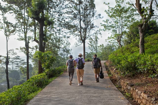 Pekoe Trail Experience