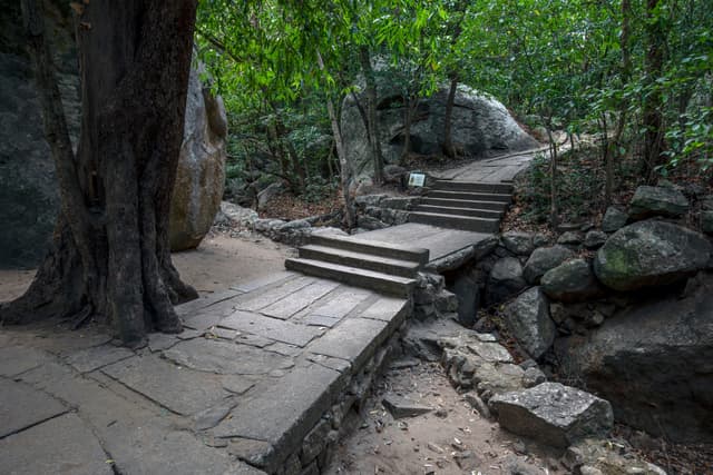 Ritigala Forest