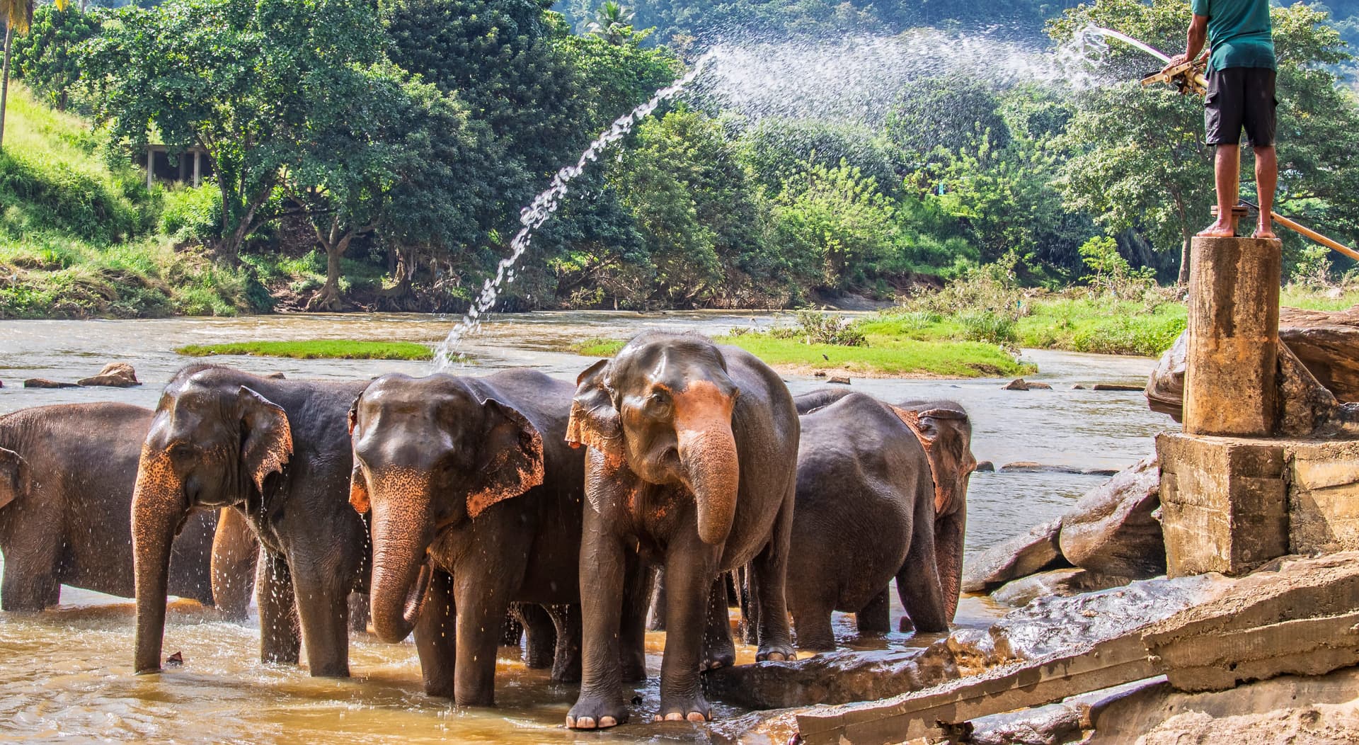 https://olanka-strapi-live-s3.s3.ap-southeast-1.amazonaws.com/shutterstock_2532767339_7916acb54f.jpg