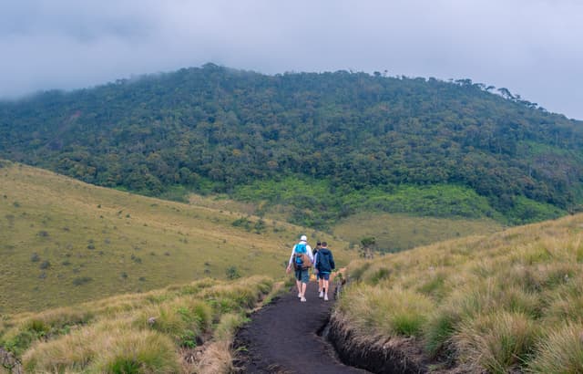 Horton Plains Trail