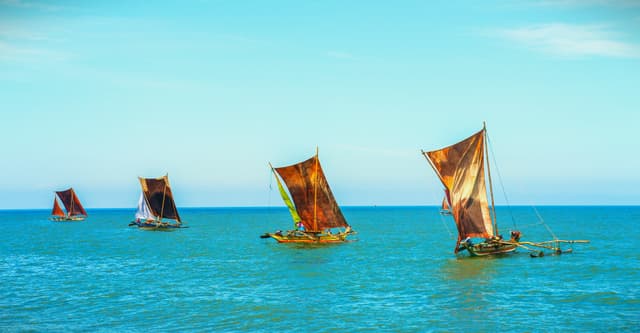 Sail Boats
