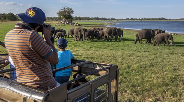 Minneriya National Park