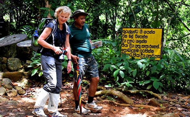 Guided Nature Walk