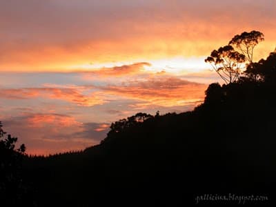 Sinharaja Sunset