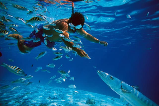 Underwater World 