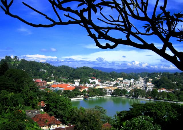 Kandy City Viewpoint