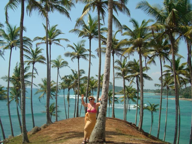 Tropical Palm Embrace